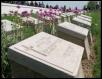 Scoop Image: Graves above ANZAC Cove.