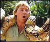 Steve Irwin